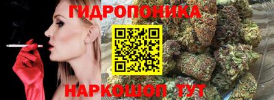 прущие грибы Пугачёв