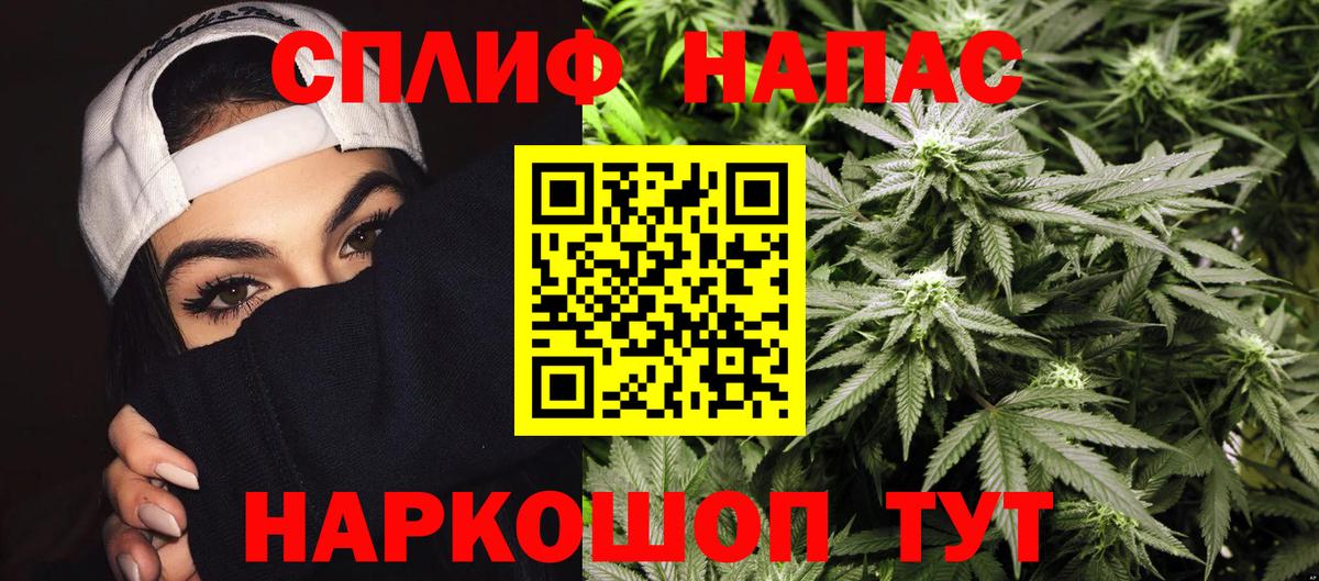 Россия  Канабис планчик  Каннабис семена  Шишки марихуана марихуана  Вход с VPN 